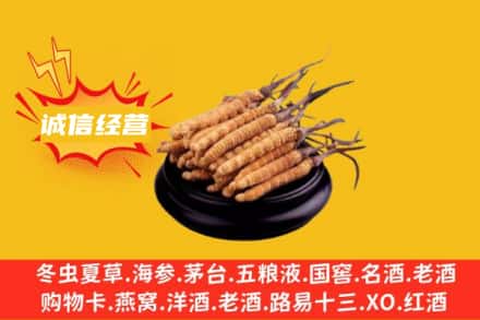 兴安盟回收冬虫夏草